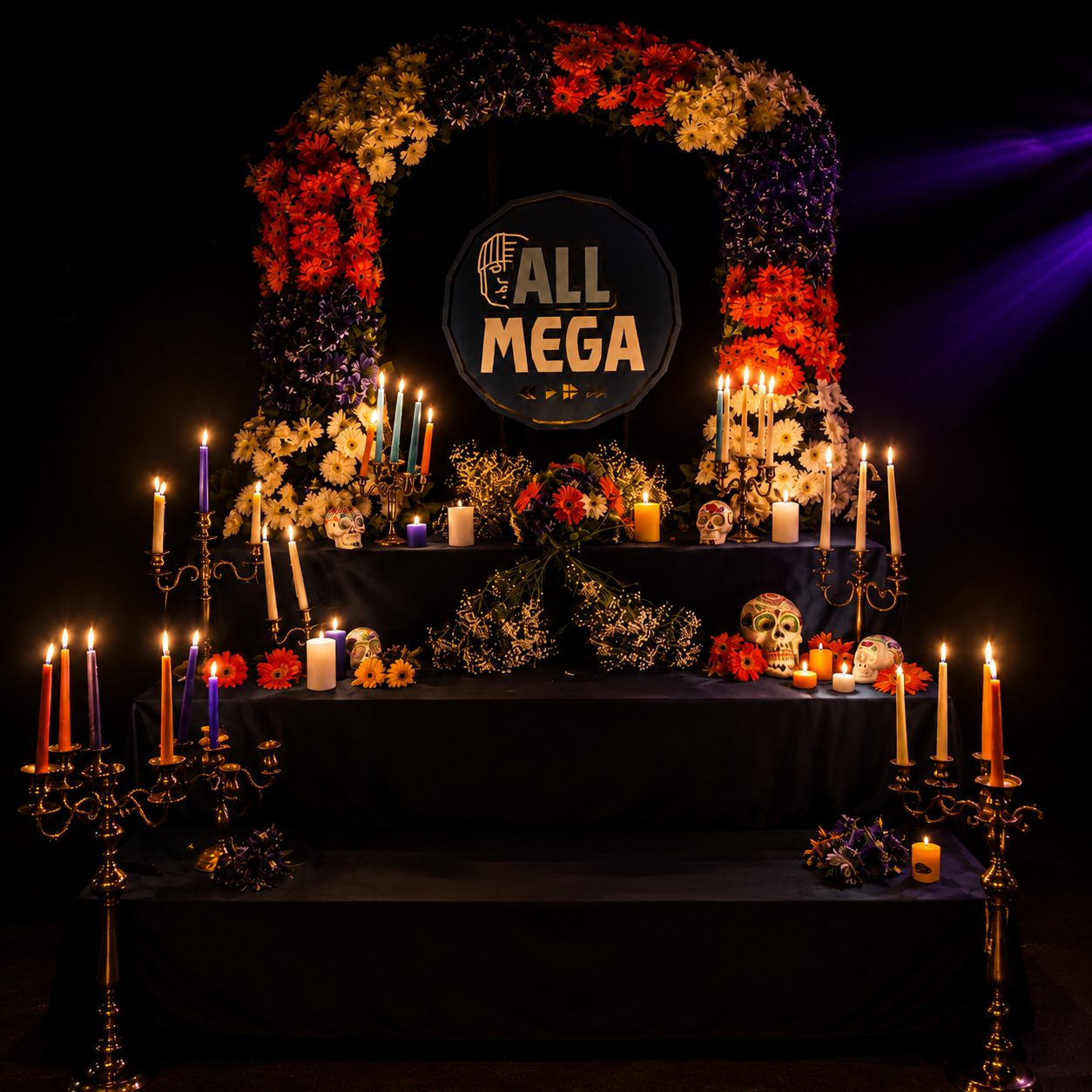 allmega6