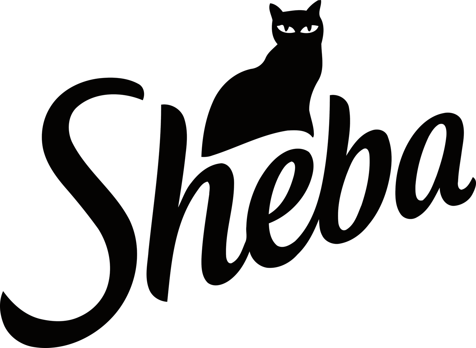 sheba